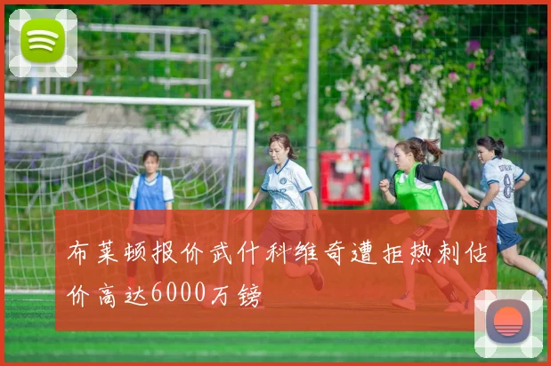 布莱顿报价武什科维奇遭拒热刺估价高达6000万镑