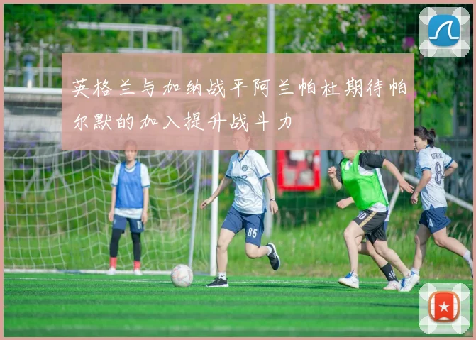 英格兰与加纳战平阿兰帕杜期待帕尔默的加入提升战斗力
