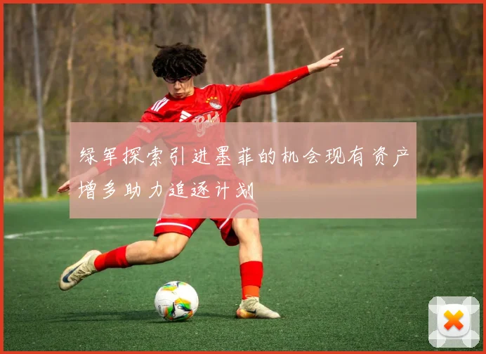 绿军探索引进墨菲的机会现有资产增多助力追逐计划